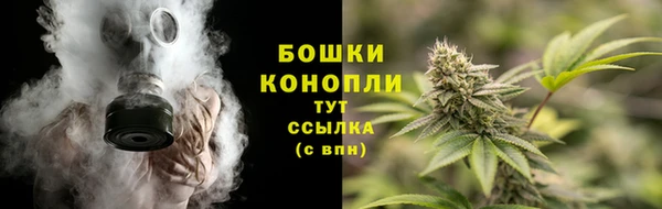 MESCALINE Аркадак