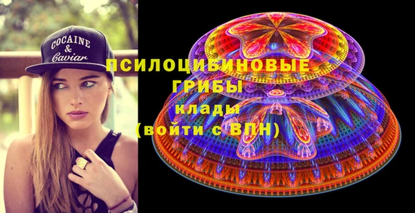 MESCALINE Аркадак