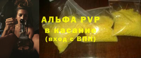 СК Новодвинск